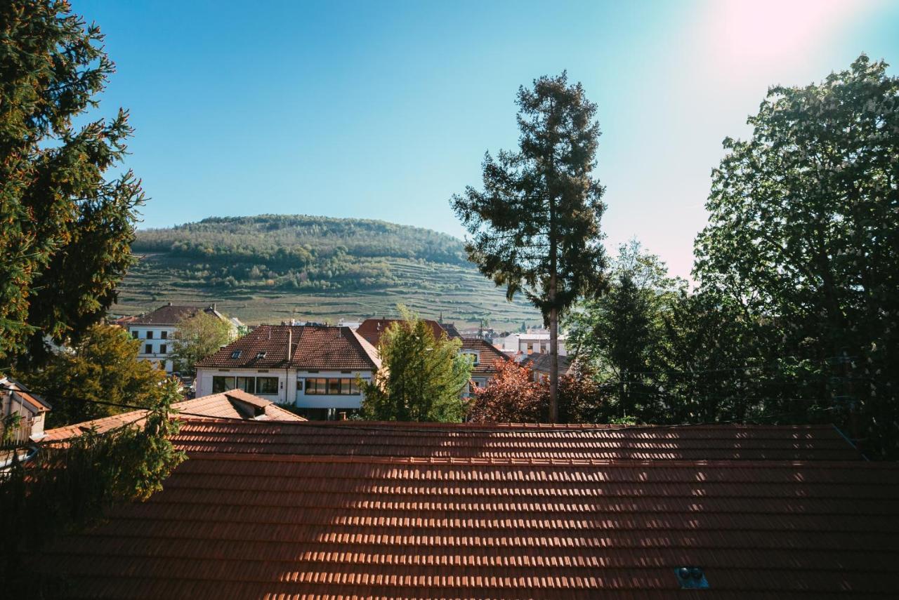 Domaine Boheme I Art De Vivre Apartment Гебвилер Екстериор снимка